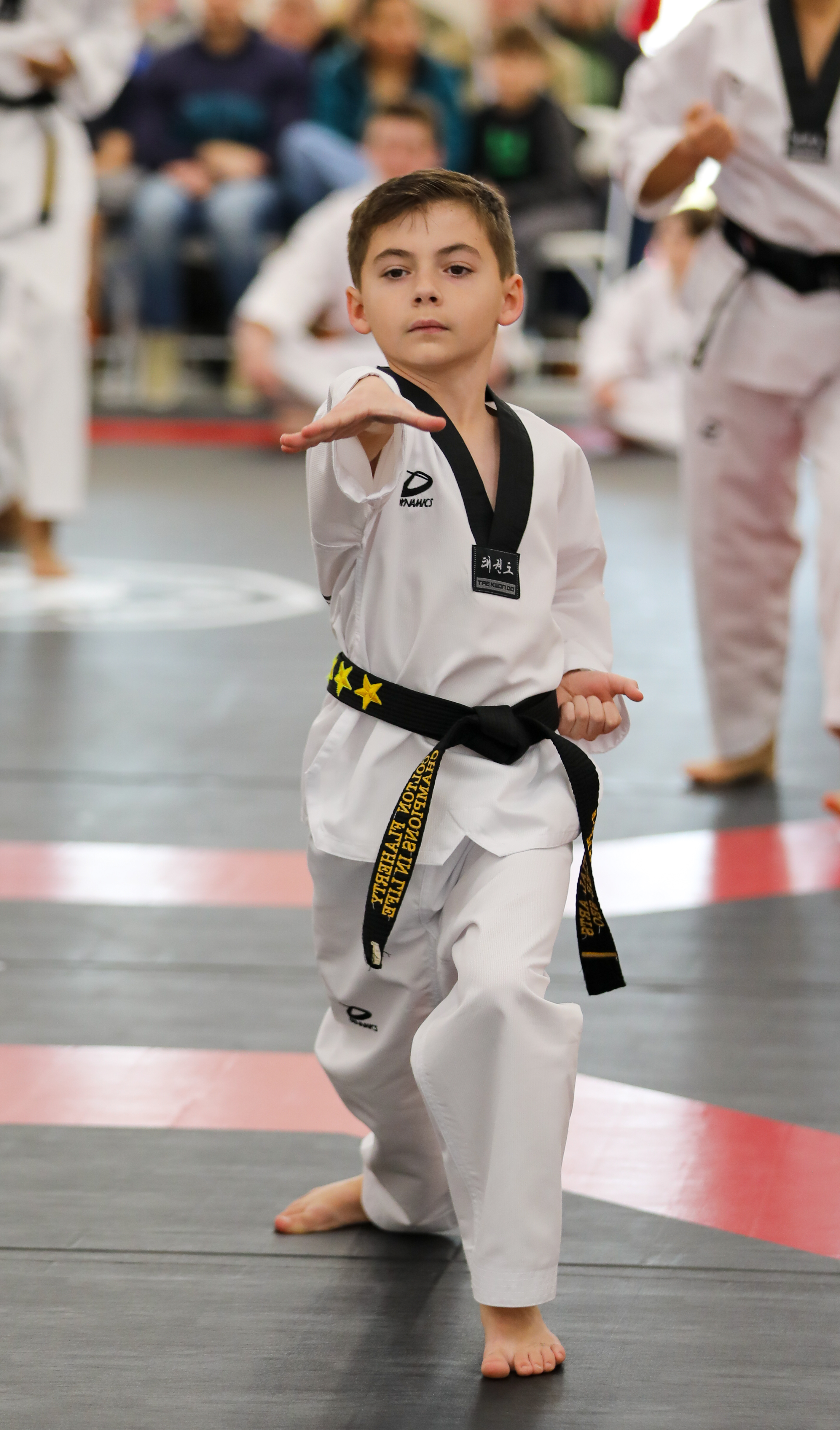 46th Black Belt Test 2026