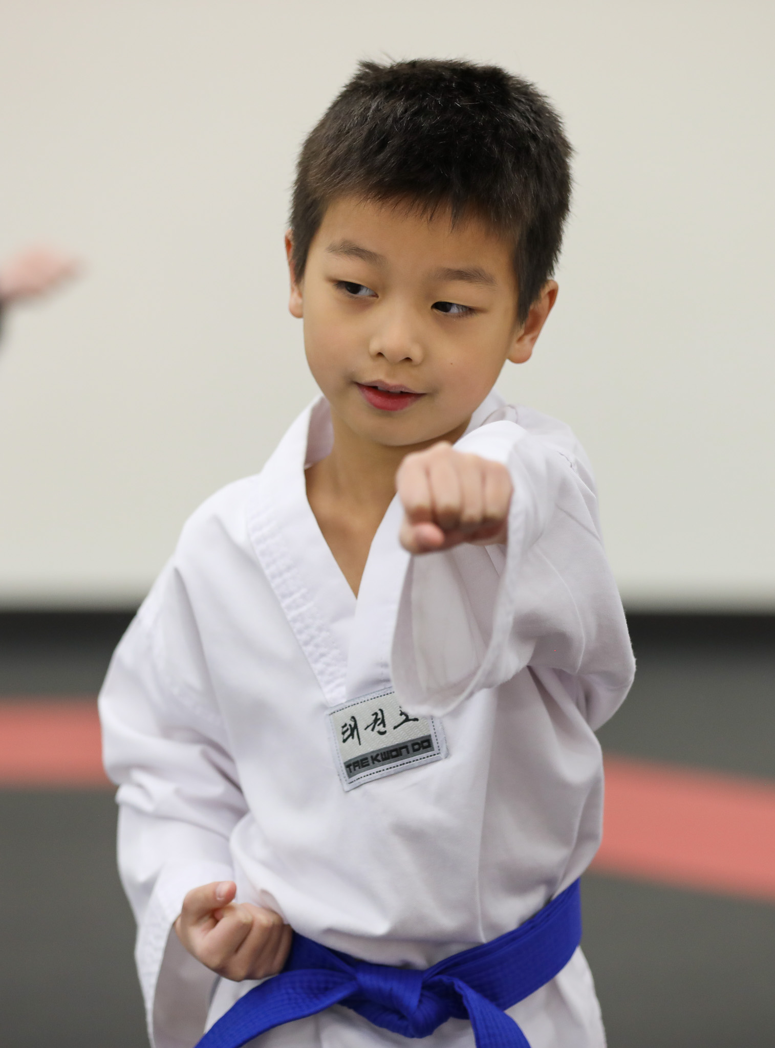 Belt Test PRO 2024
