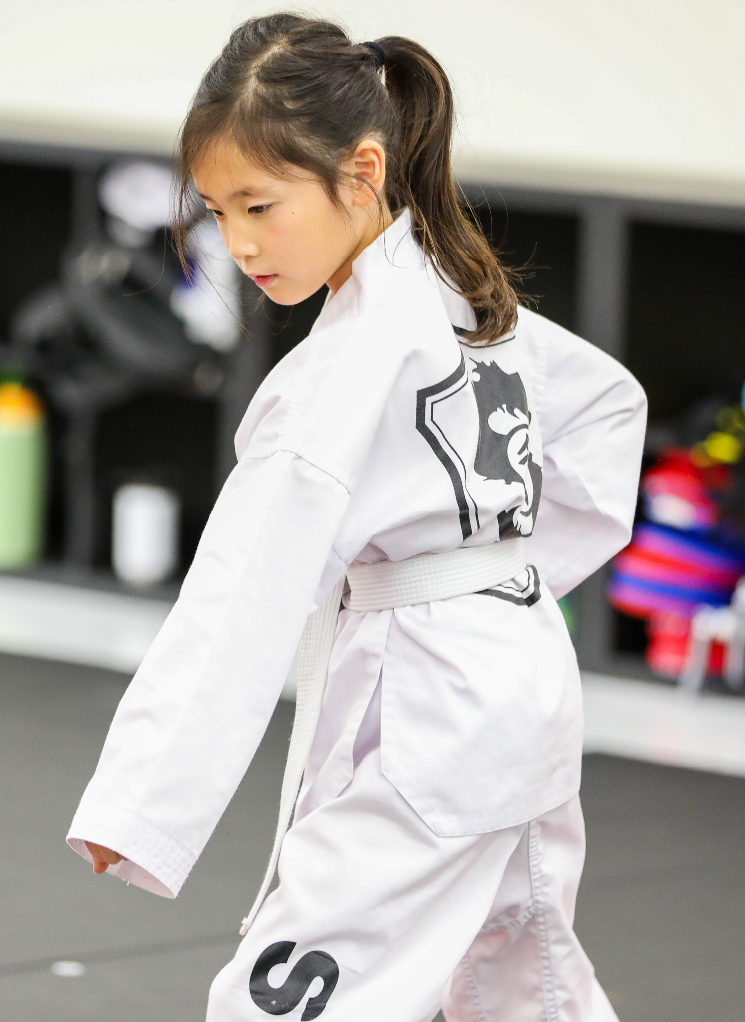 Belt Test PRO 2024