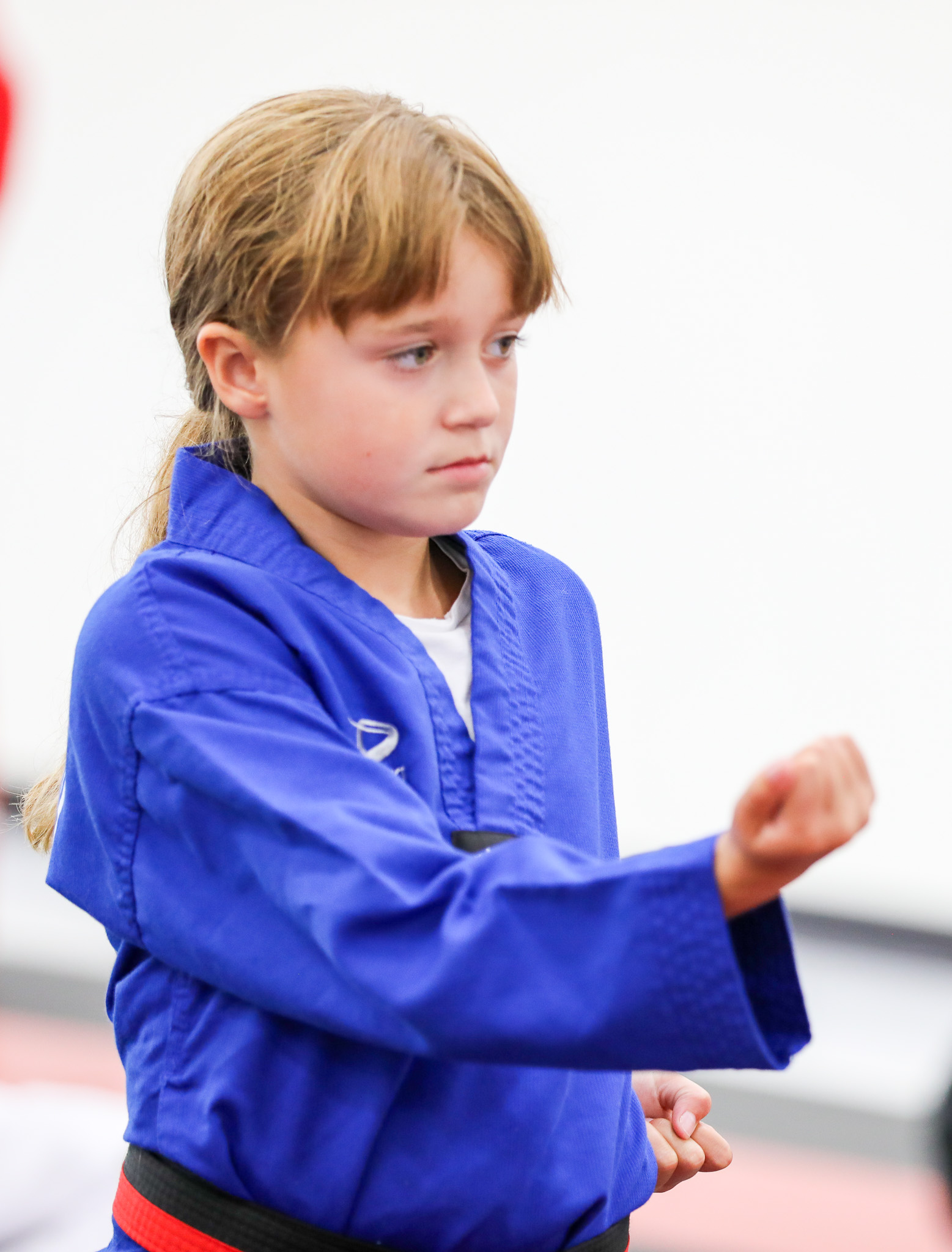 Belt Test PRO 2024