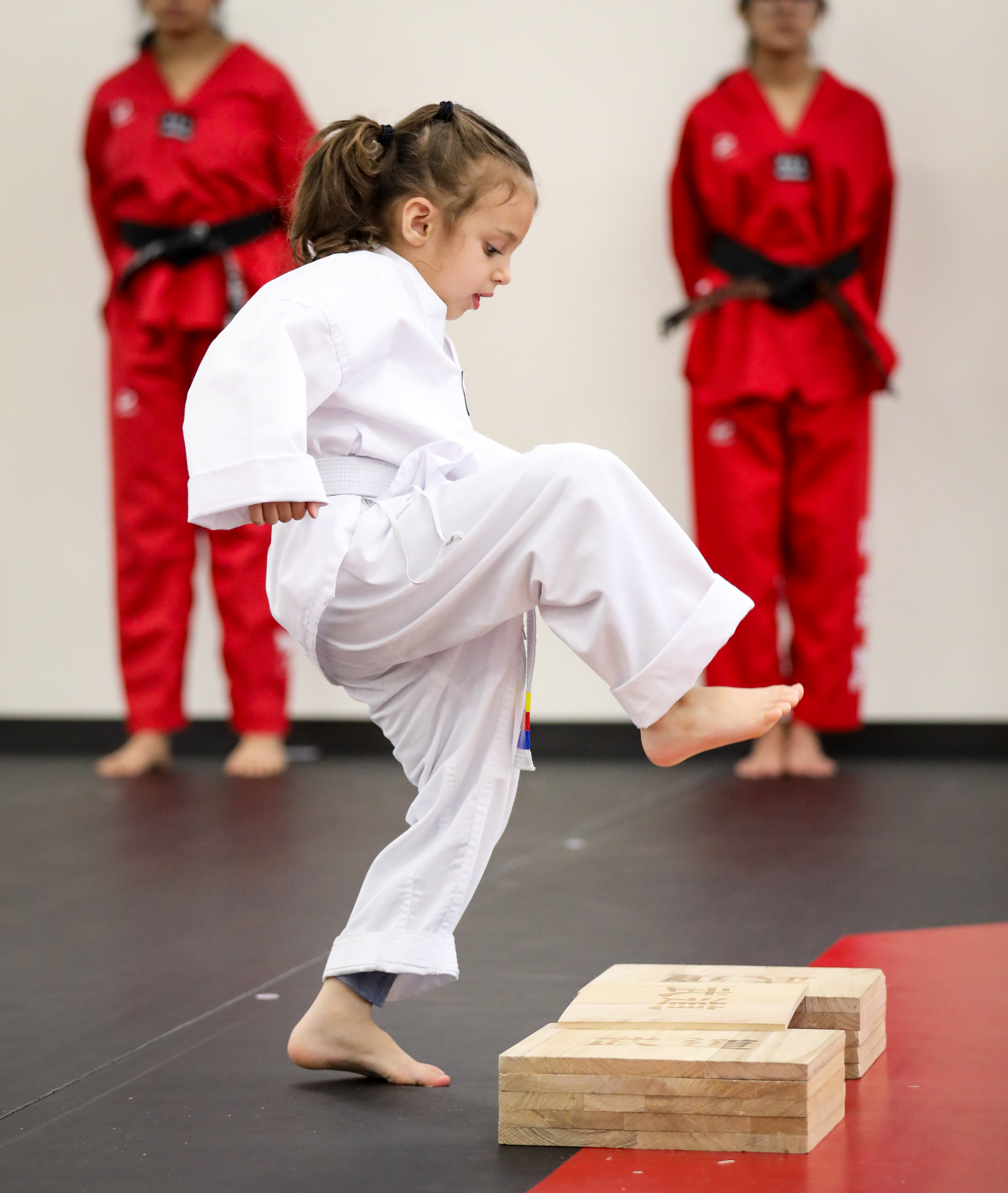 Belt Test PRO 2026