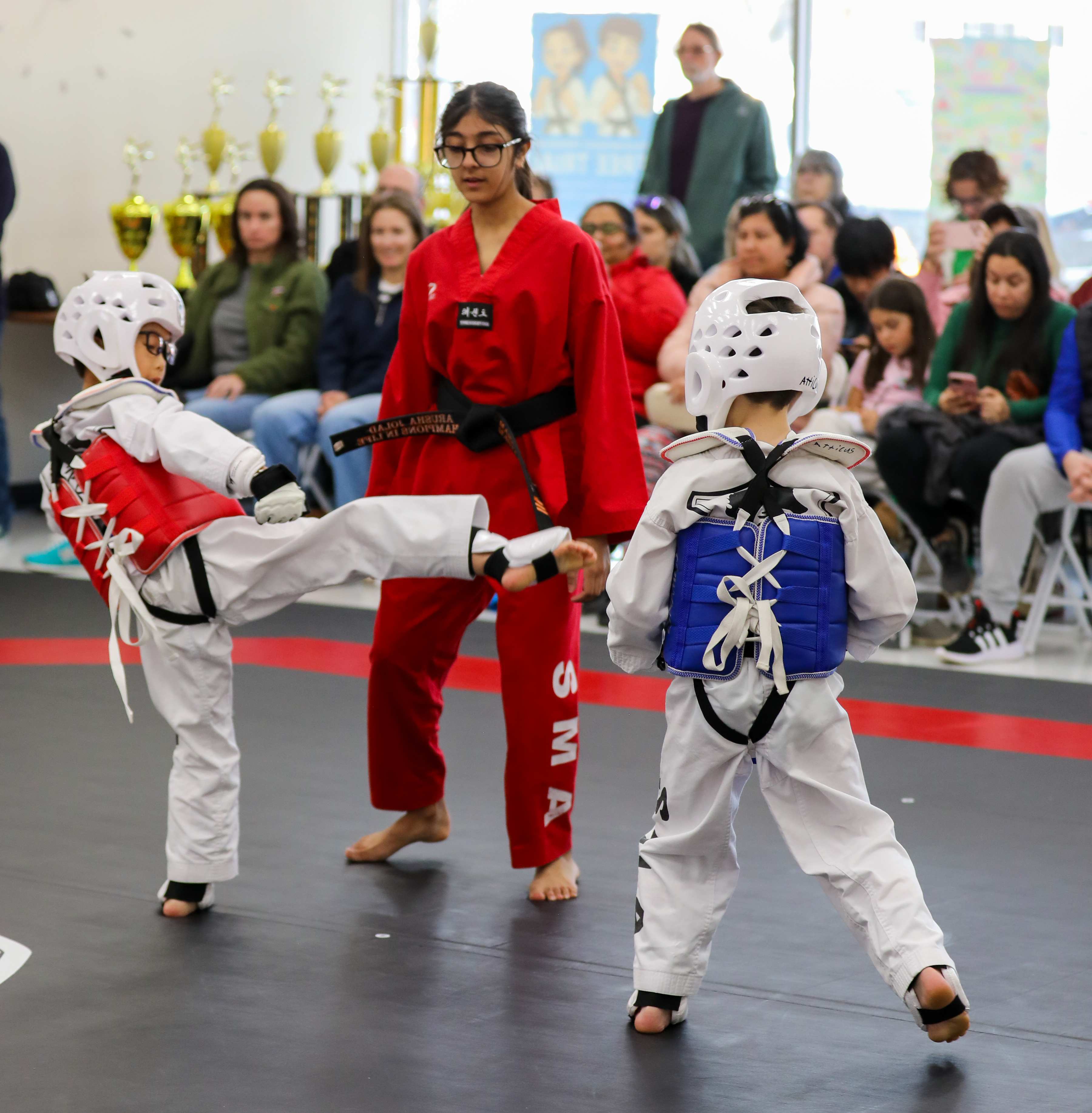 Belt Test PRO 2026