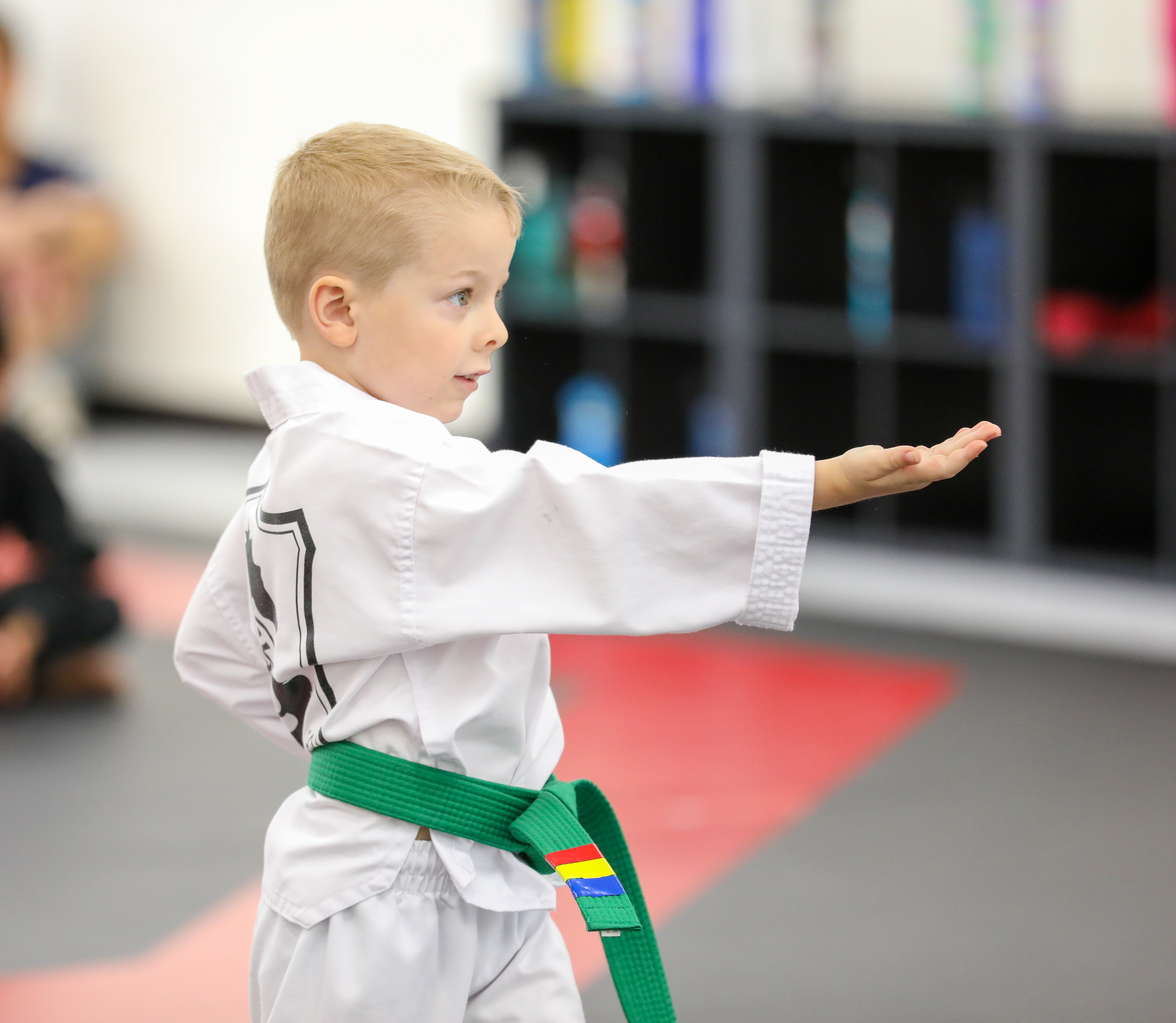 Belt Test PRO 2026