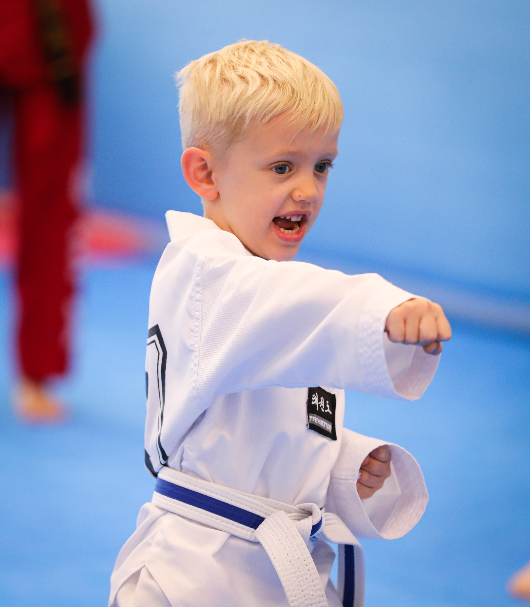 Little Dragons technique