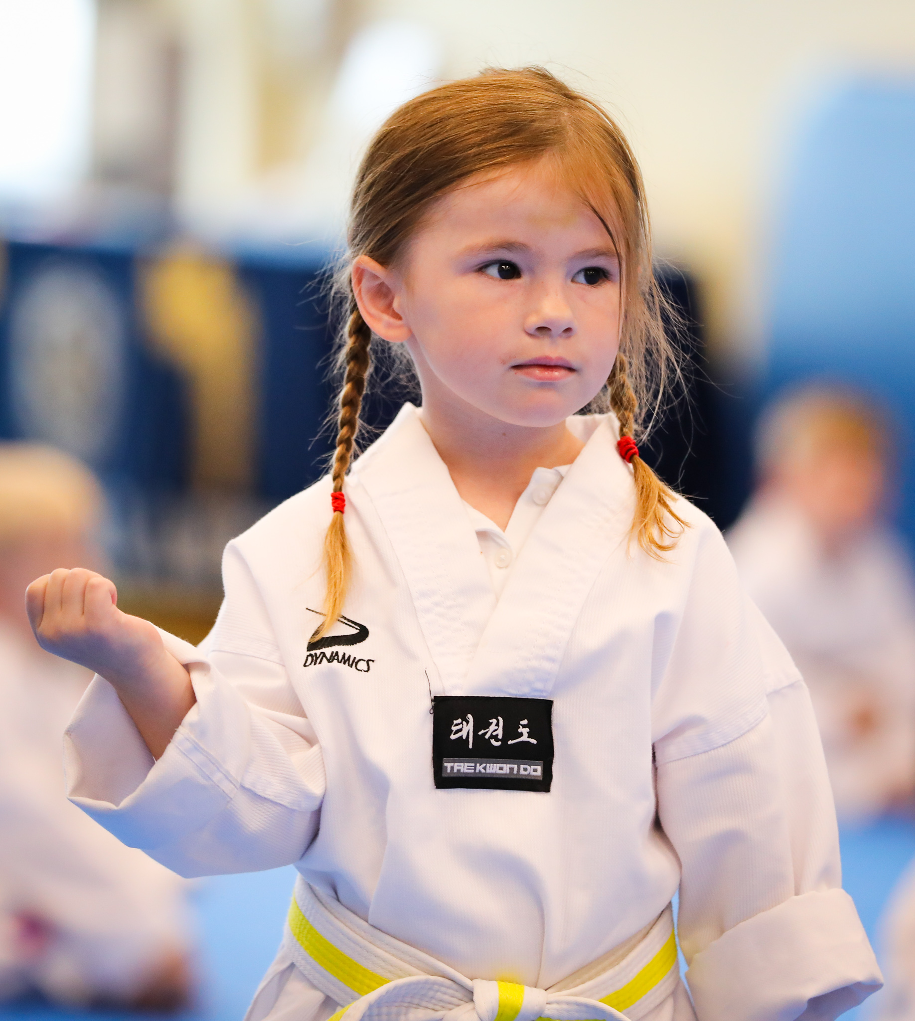 Little Dragons in action
