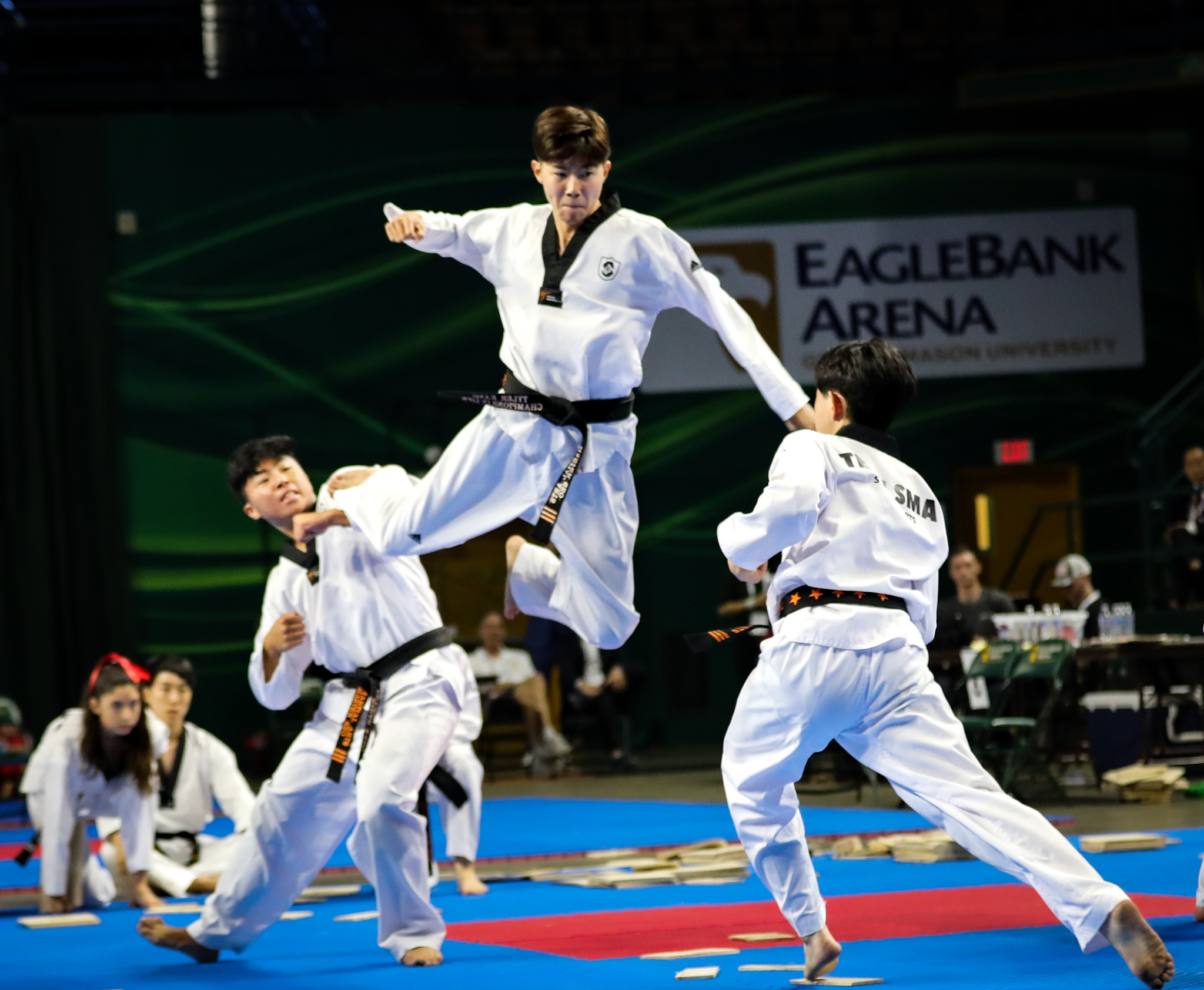 Kukkiwon Expo