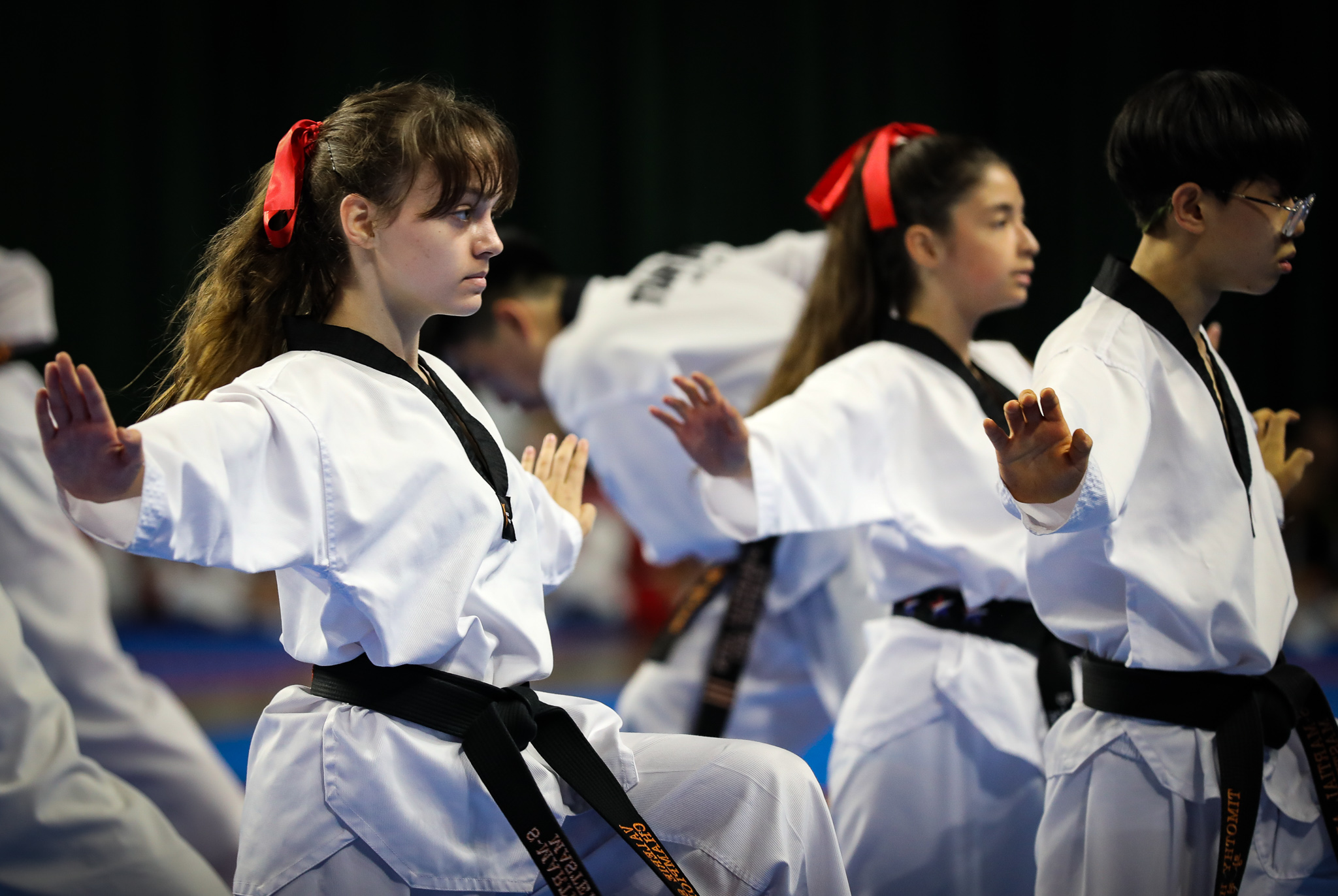 Kukkiwon Expo