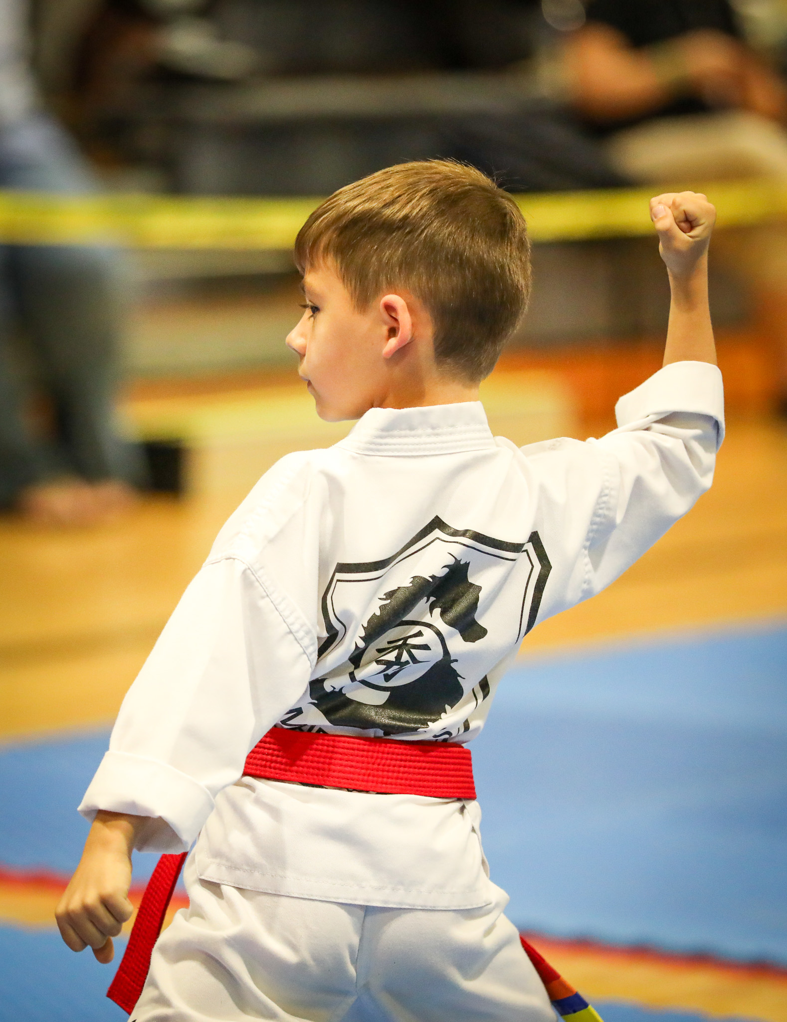 Kukkiwon Cup