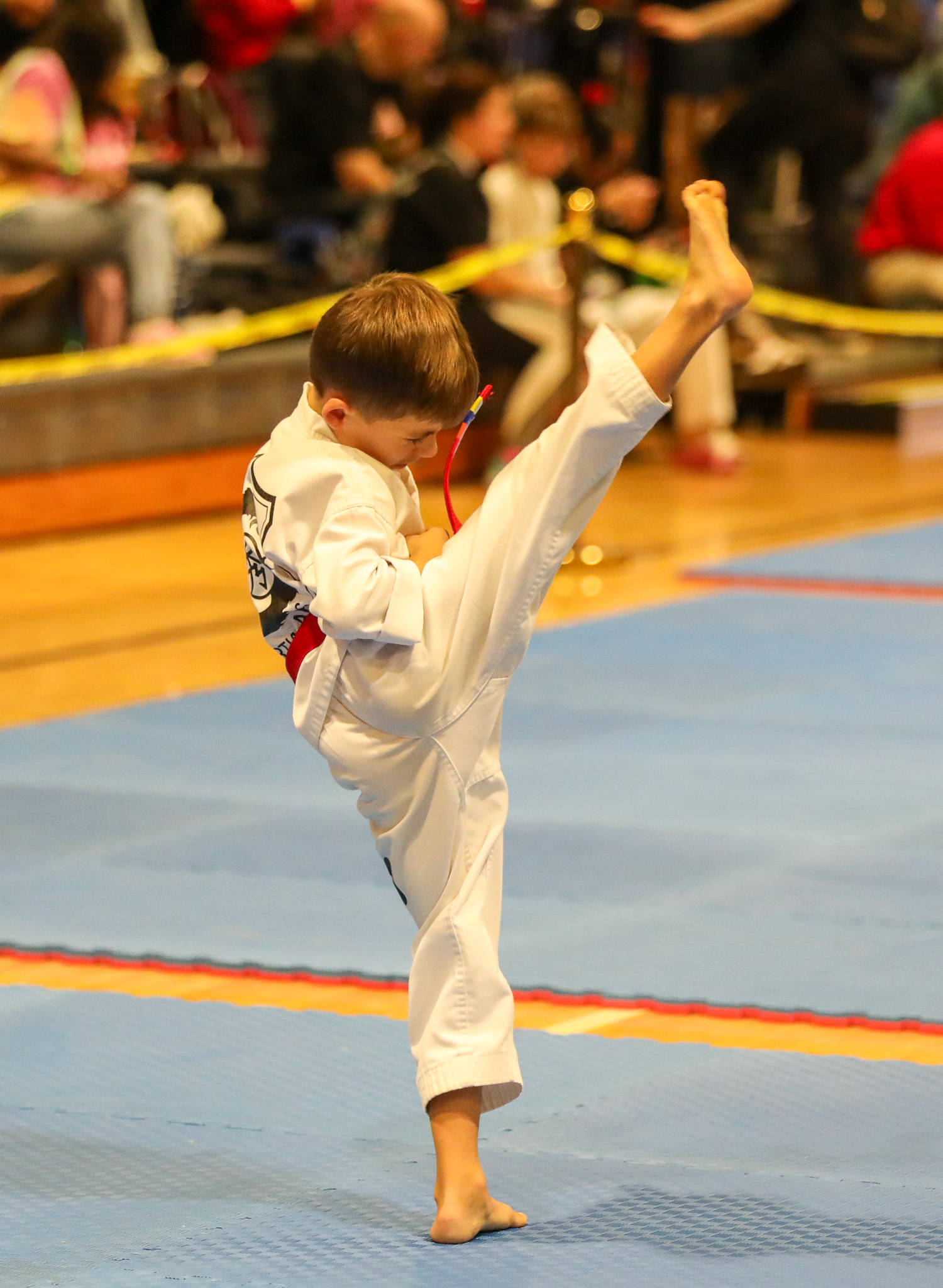 Kukkiwon Cup