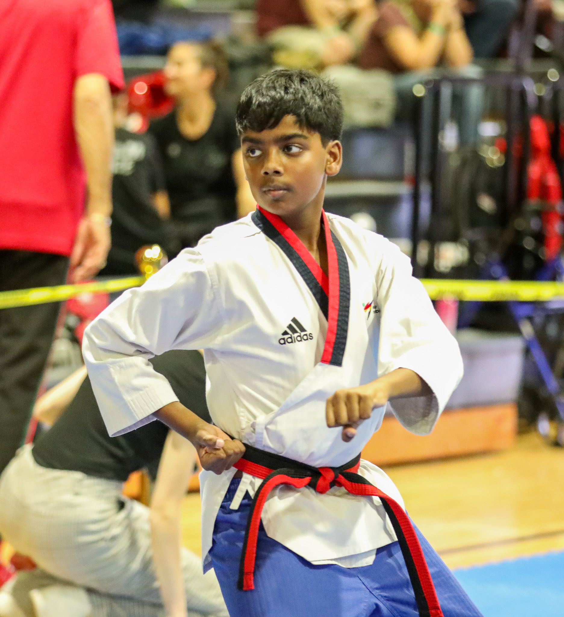 Kukkiwon Cup